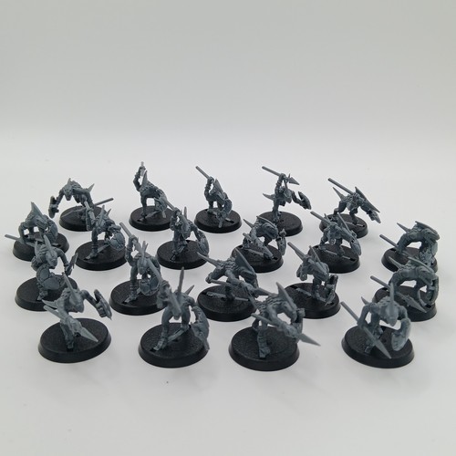 X20 skinks warhammer age - x20,