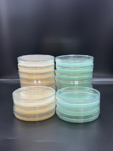 Lme sterile pre poured agar - lme, pre-poured