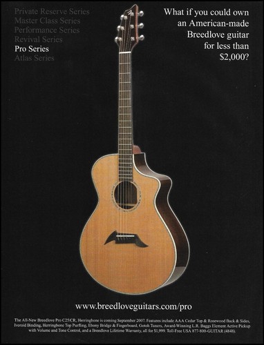 2007 breedlove pro series - 2007,