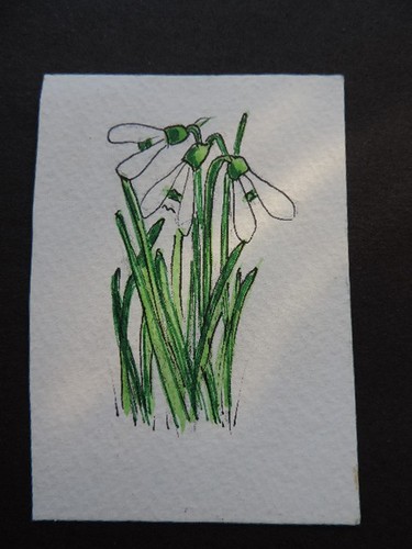 Aceo original pen and - aceo,