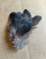 Fly tying / Native crafts /