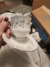 Paragon "Debutante" Cup &