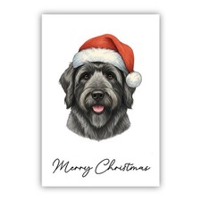 Bouvier des Flandres Christmas
