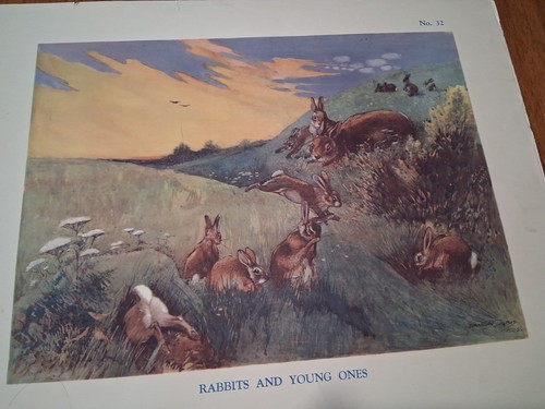 Macmillan vintage educational - macmillan,