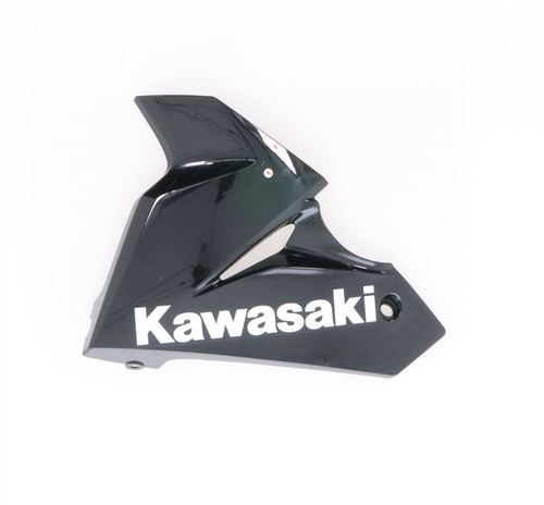 2018 kawasaki ninja - kawasaki, l/h