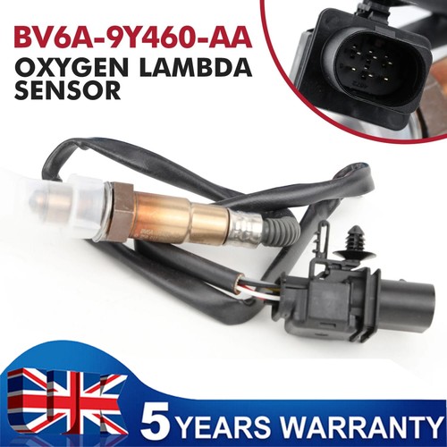 Oxygen sensor for - sensor,