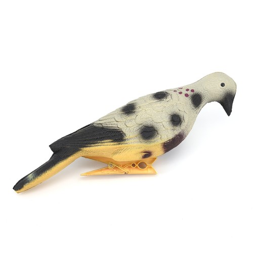 Pigeon arrow target animal - arrow,