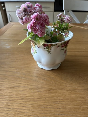 Large bowl plant pot royal - bowl/,
