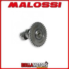 5914143 MALOSSI BAOTIAN ECO