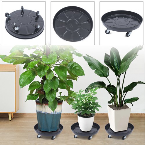 Pack plant dolly - plant,