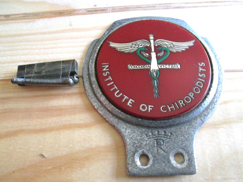 Institute chiropodists - institute, of