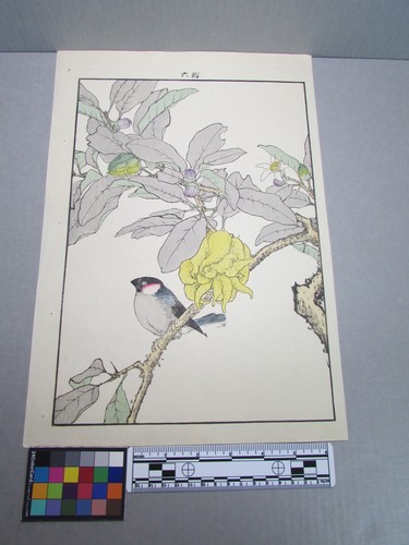 Woodblock print - woodblock,