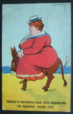 1916 Comic FAT LADY SEASIDE