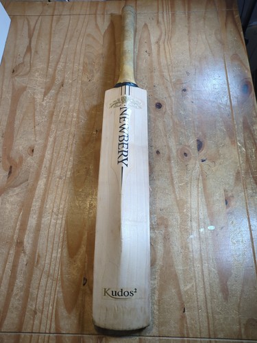 Newbery kudos sps cricket - newbery,