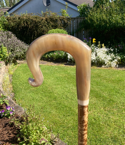 Cow horn crook - , stick