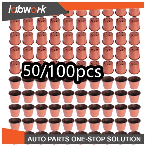 Labwork plastic plant flower - plastic,