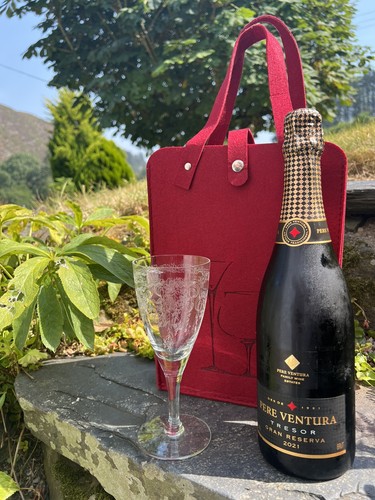 Bottle carry bag gift - bottle,