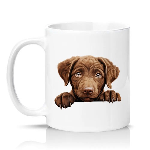 Chocolate labrador puppy - chocolate,