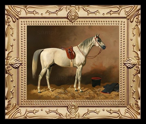 Gray white stable - gray,
