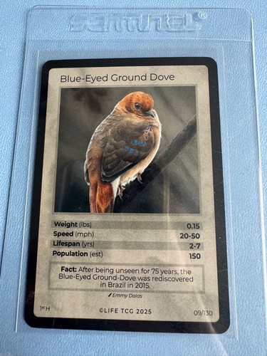 Life tcg birds - tcg, (holos)