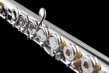 Di Zhao DZ 401 Student