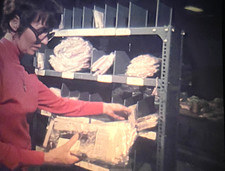 16mm Amateur Reversal