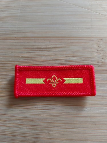 Scouting current cub scout - scouting,