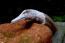 Antler Handle with Pike fish