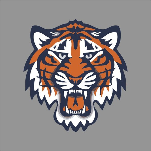 Detroit tigers mlb team pro - mlb,