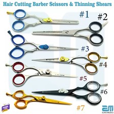 Professional Thinning Shears
