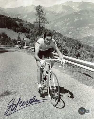 Eddy merckx signed 8x10 - 8x10, photo