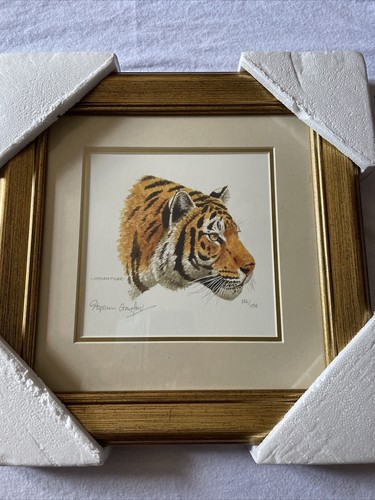 Framed mother indian - indian, tiger