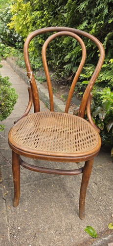 Reduced antique cane bentwood - reduced,