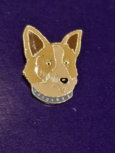 1980 pembroke welsh corgi - pembroke,