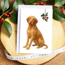Wirehaired Vizsla Christmas