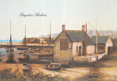 Kevin platt paintings paignton - kevin,