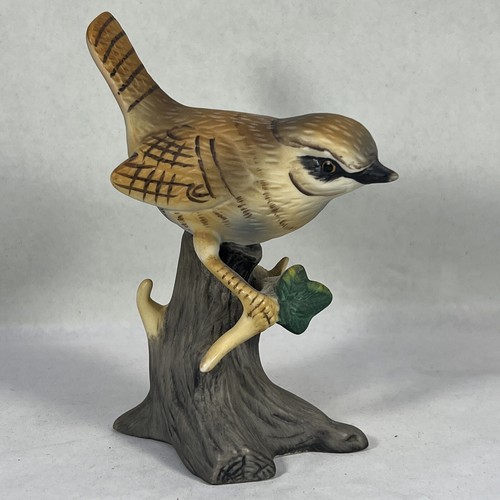 Perched wren bird - perched,