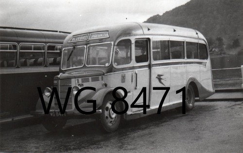 Bluebird wg8471 bedford w - ob, b&w