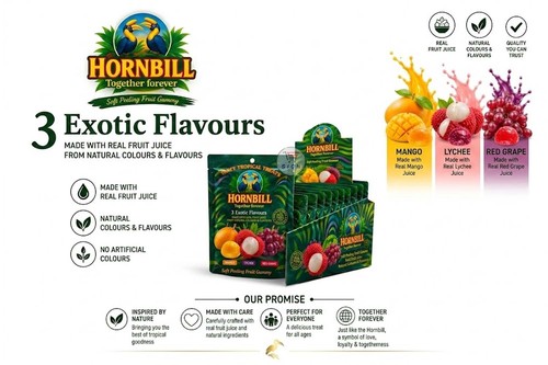 Exotic hornbill tropical - hornbill, mix