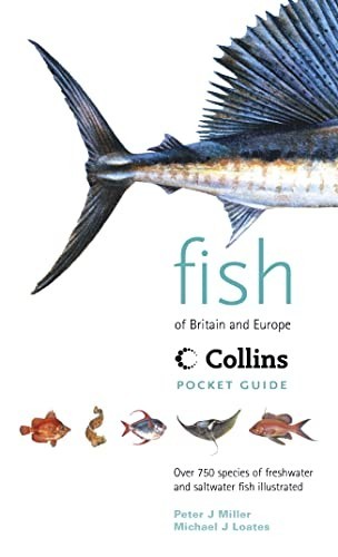 Collins pocket guide fish - collins,