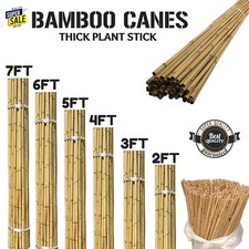 Bamboo Canes Garden Thick