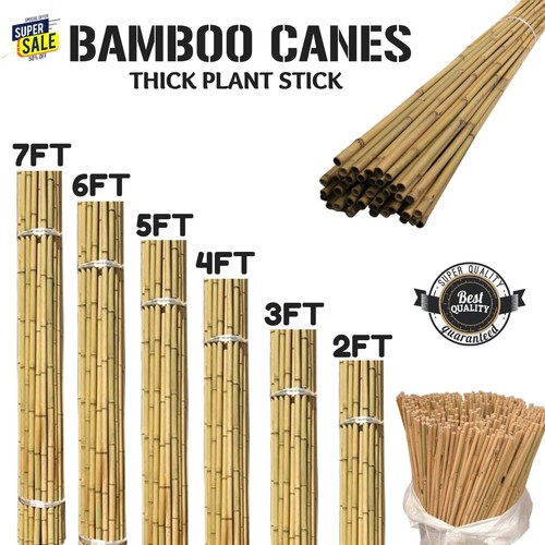 Bamboo canes garden - bamboo,