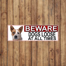 Australian Cattle Dog BEWARE