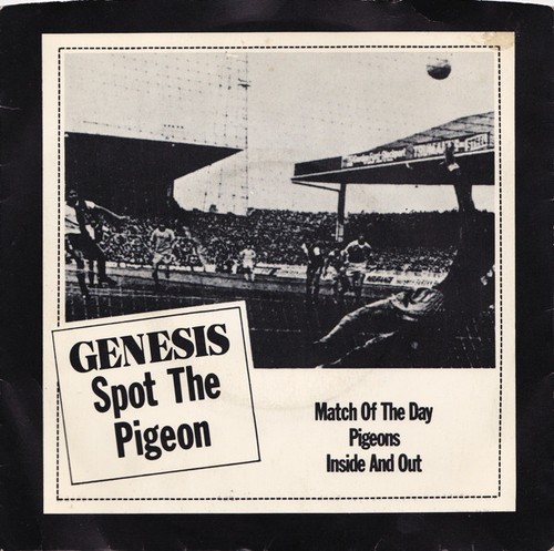 Genesis spot the - -, pigeon