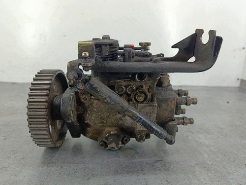 Volkswagen transporter - volkswagen,