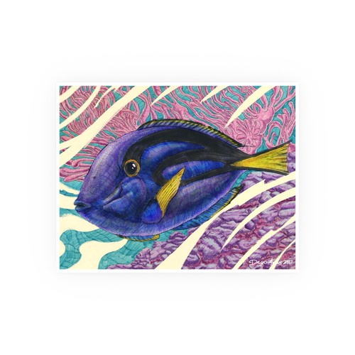 Blue tang fish poster - tang,