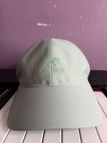 Arc teryx bird word - word,
