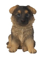 Alsatian puppy pet - puppy, by