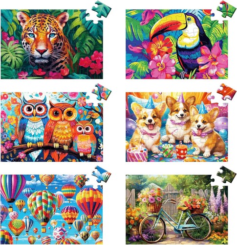 Packs pieces large - 6,