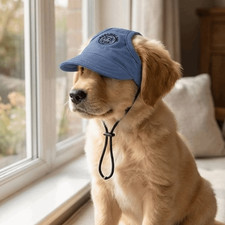Cotton Cat Sunscreen Hat